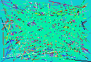 phone lookup